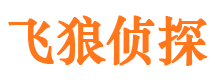 金口河飞狼私家侦探公司